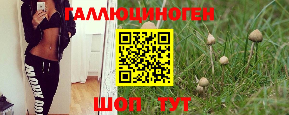 Галлюциногенные грибы мухоморы  даркнет сайт  Богданович  Вход с VPN 