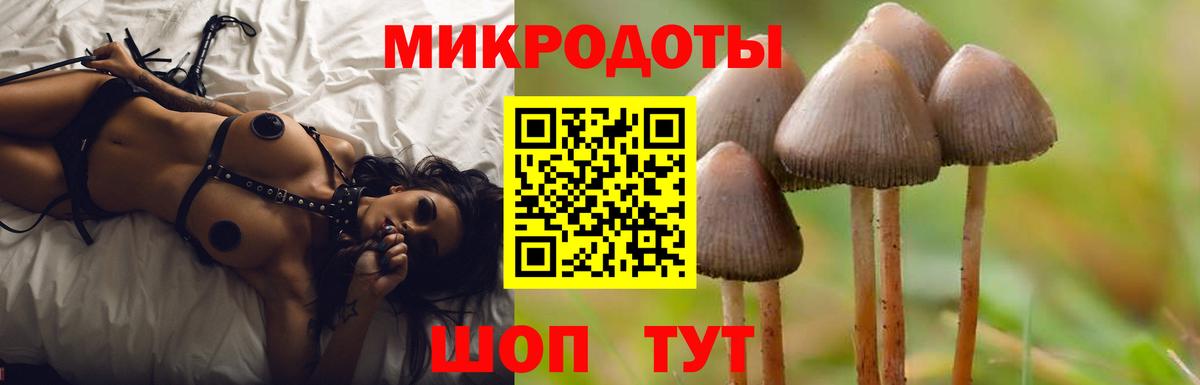Галлюциногенные грибы ЛСД Богданович